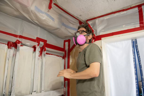 Best Mold Odor Removal Services  in Charlestown, IN